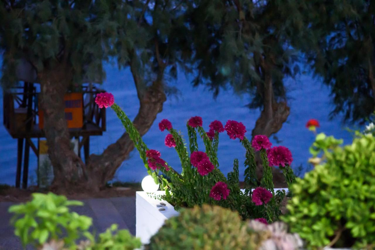 Aliki Studios Paralia Agias Foteinis Exterior foto